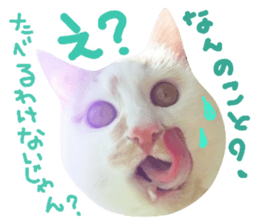 25680619