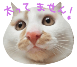 25680626