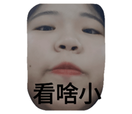 256808731