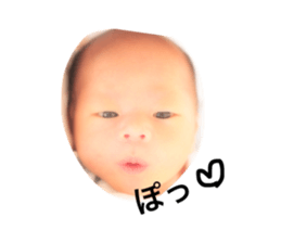 25681176