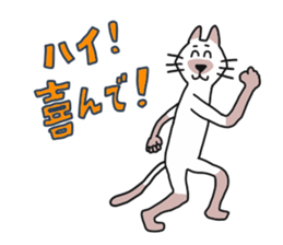 256813668
