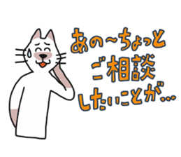 256813669