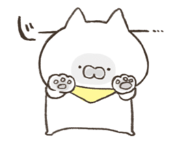 25682482