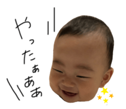 256897811