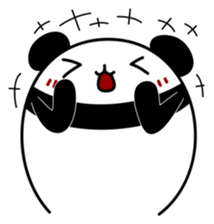256954