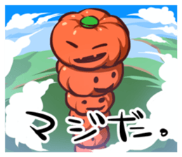 256971285