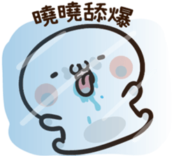 256984224