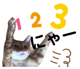 257019839