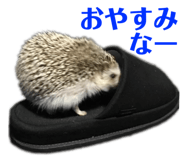 257032768