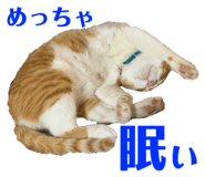 257032802