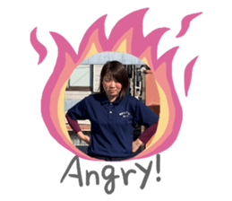 257163848