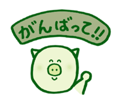 2572187