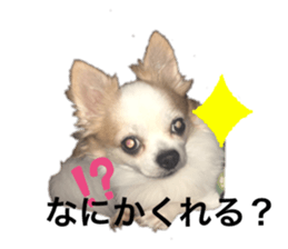 257245926