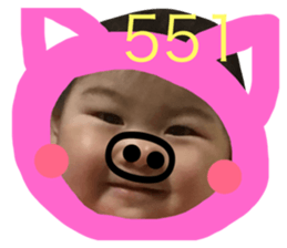 25724840
