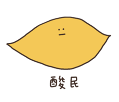 257254031