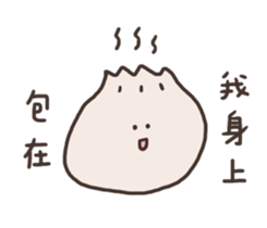 257254048