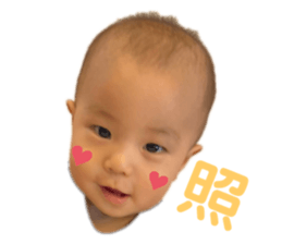 257287819