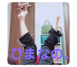 257339056