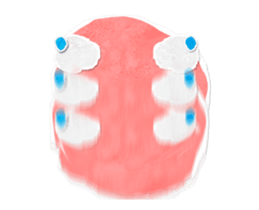 257366900