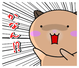 257411630