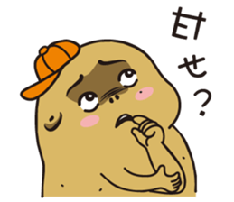 257432361