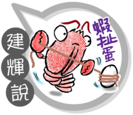 257455558