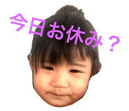 25755288