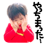 25755290