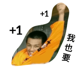 257622081
