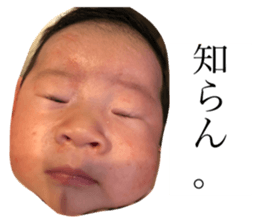 257631250