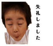 257673342