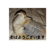 257822858