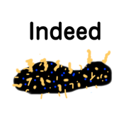 257844592