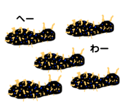 257844593