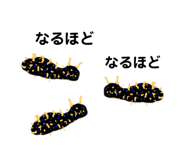 257844595