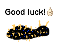 257844604