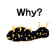 257844608