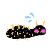 257844610