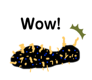 257844616