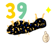 257844624