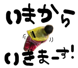 25793768