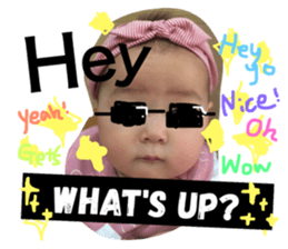 25794242