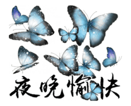 25798950