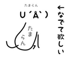 25799737