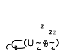 25799748