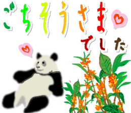 258117548