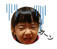 258143309
