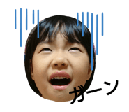 258143311