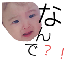 258314244