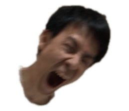 258496536
